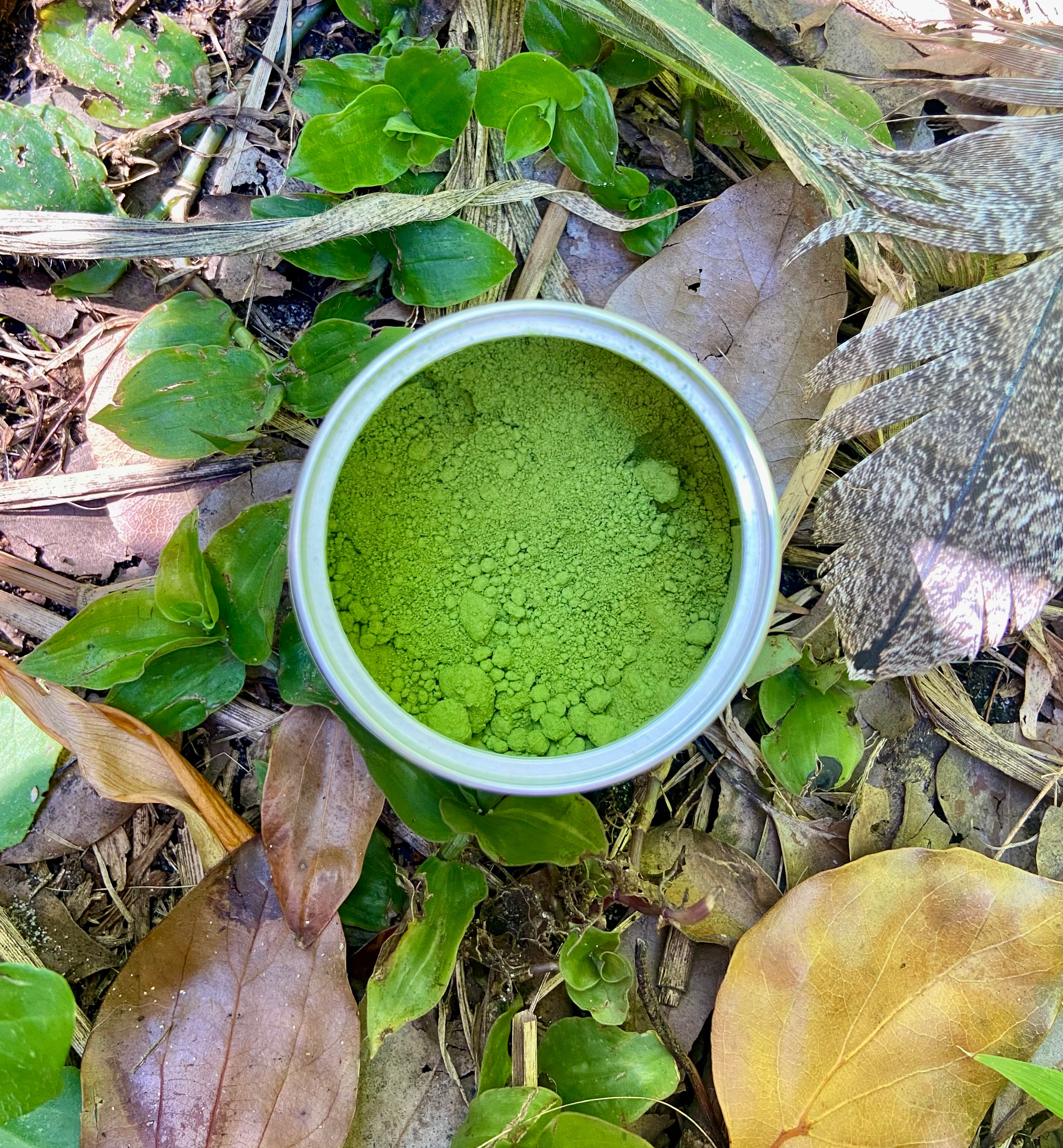 Shing Rin SHINRIN SOUL Organic Ceremonial Matcha (40g) – Shinrin Soul